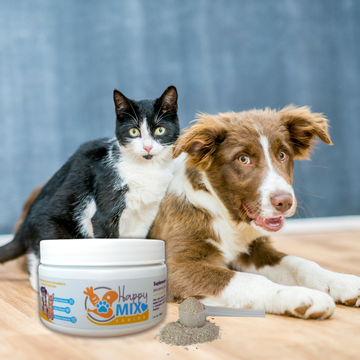 HappyMix Senior – Salud y Bienestar para tu Perro/Gato Mayor 🐾