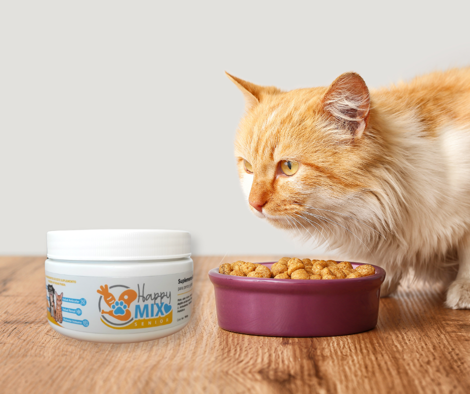 HappyMix Senior – Salud y Bienestar para tu Perro/Gato Mayor 🐾