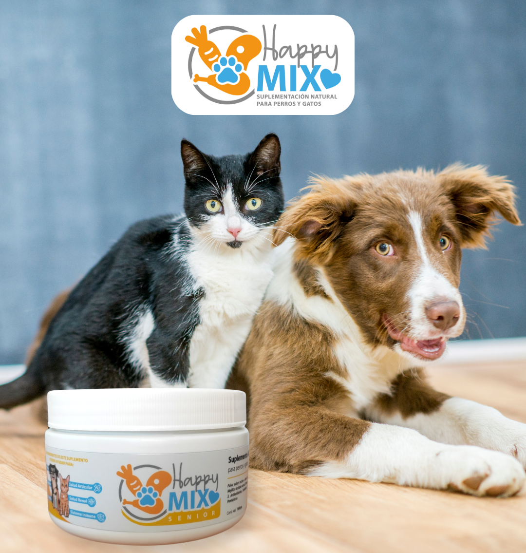 HappyMix Senior – Salud y Bienestar para tu Perro/Gato Mayor 🐾
