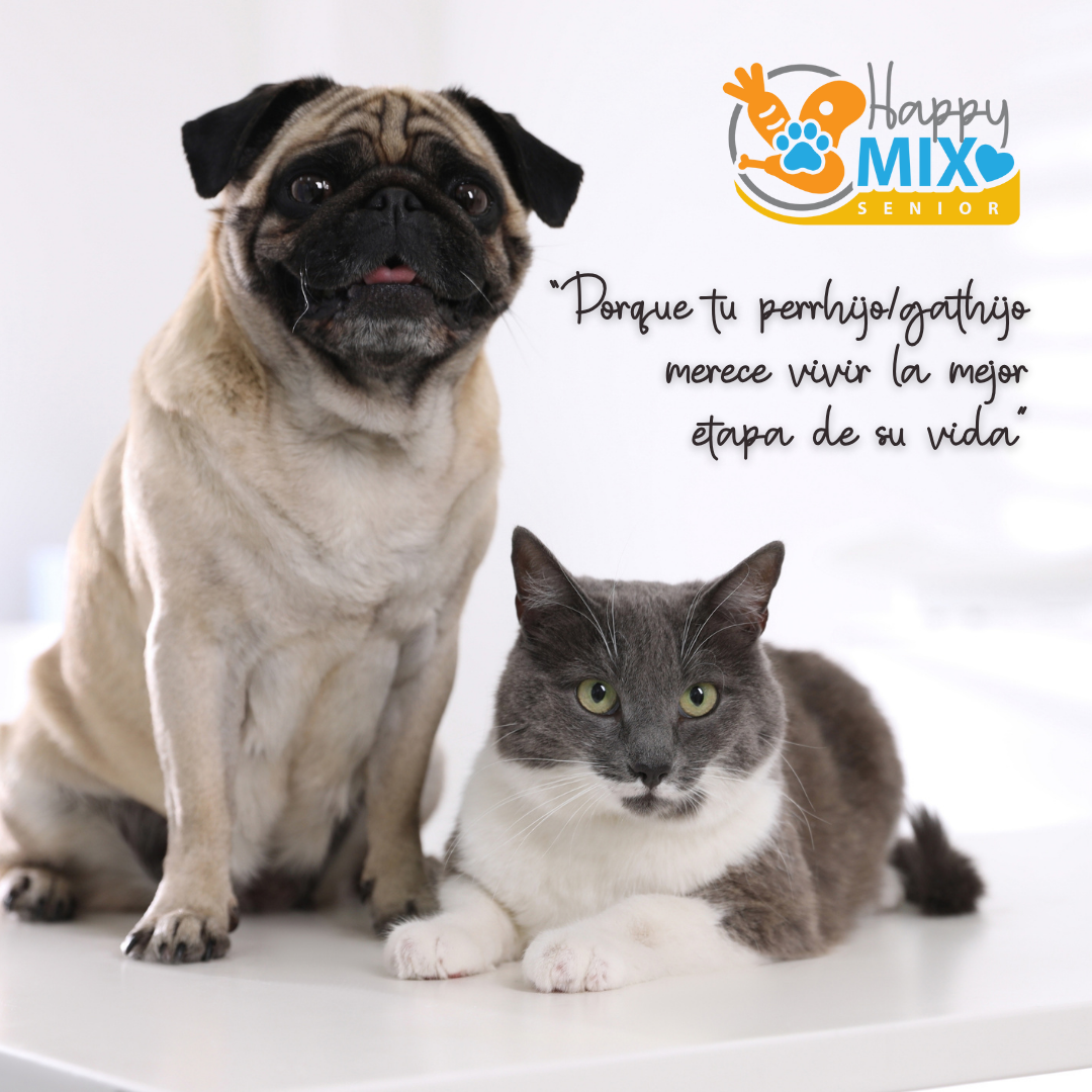HappyMix Senior – Salud y Bienestar para tu Perro/Gato Mayor 🐾
